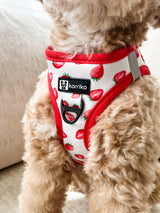 Essential Step-In Harness Walk Set - Strawberries & Cream (3-Piece)