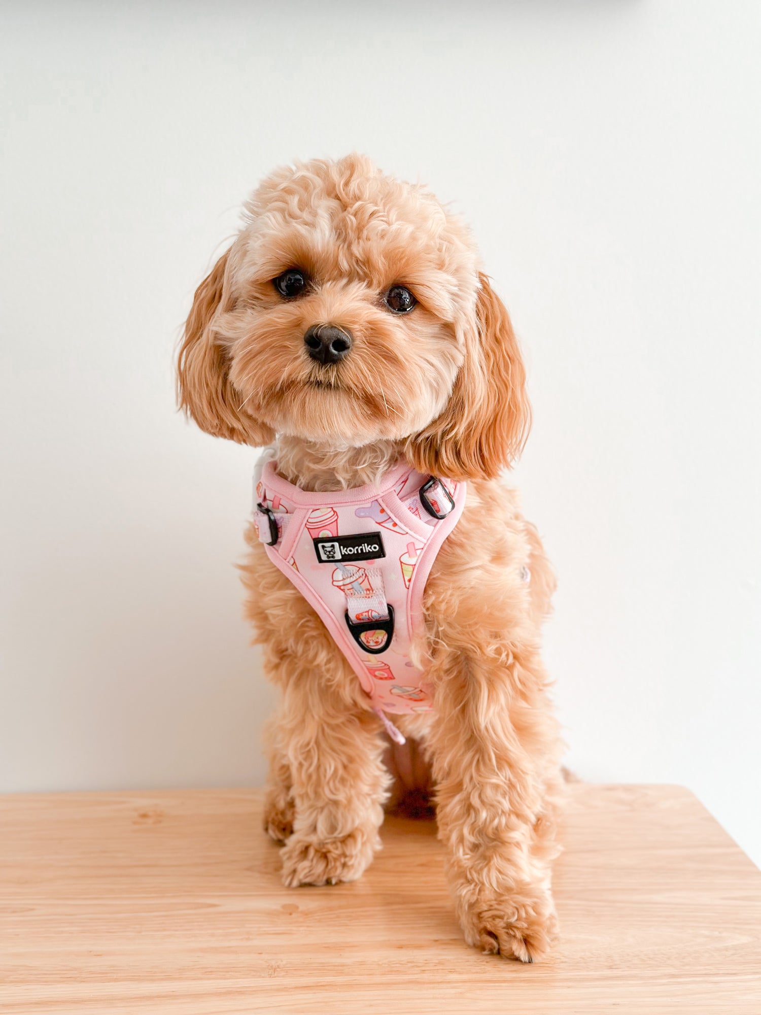 Essential Exploration No-Pull Harness Walk Set - Taro Milk Tea (3-Piece)