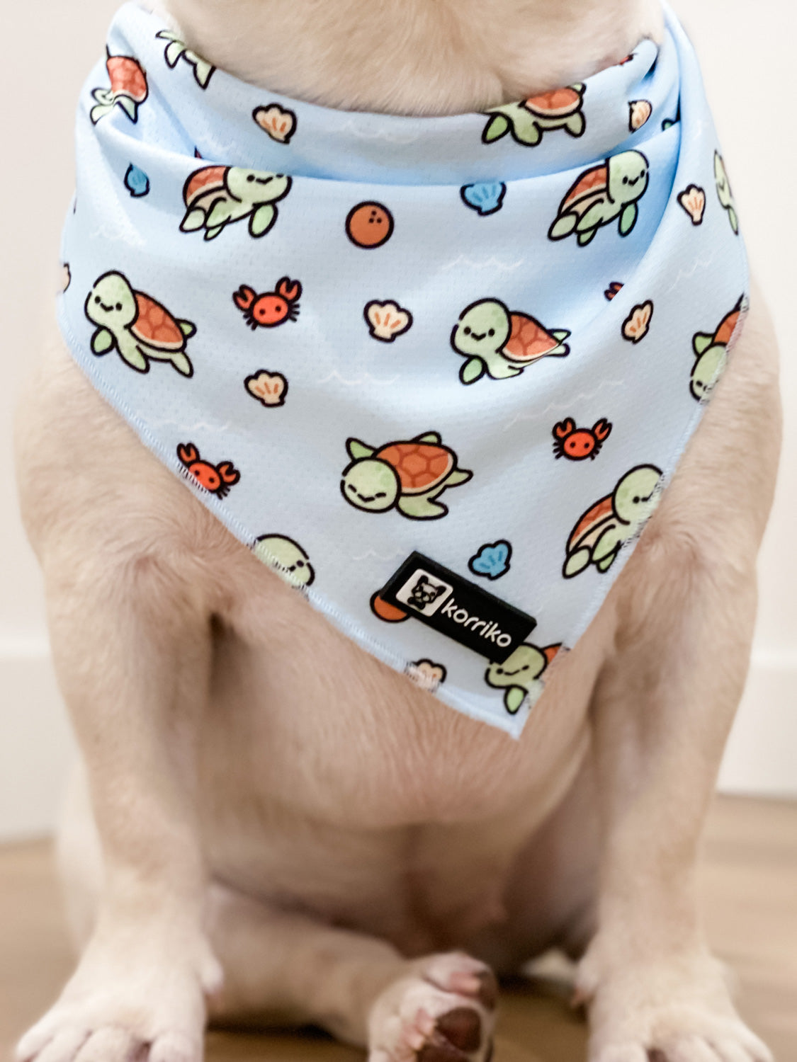 Ultimate Collar Bundle Set - Under The Sea