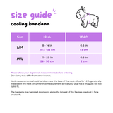 Ultimate Collar Bundle Set - Over The Rainbow