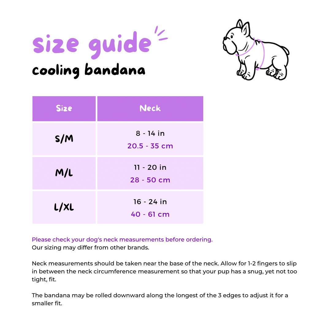 Harness Bundle Set - Soup Dumpling
