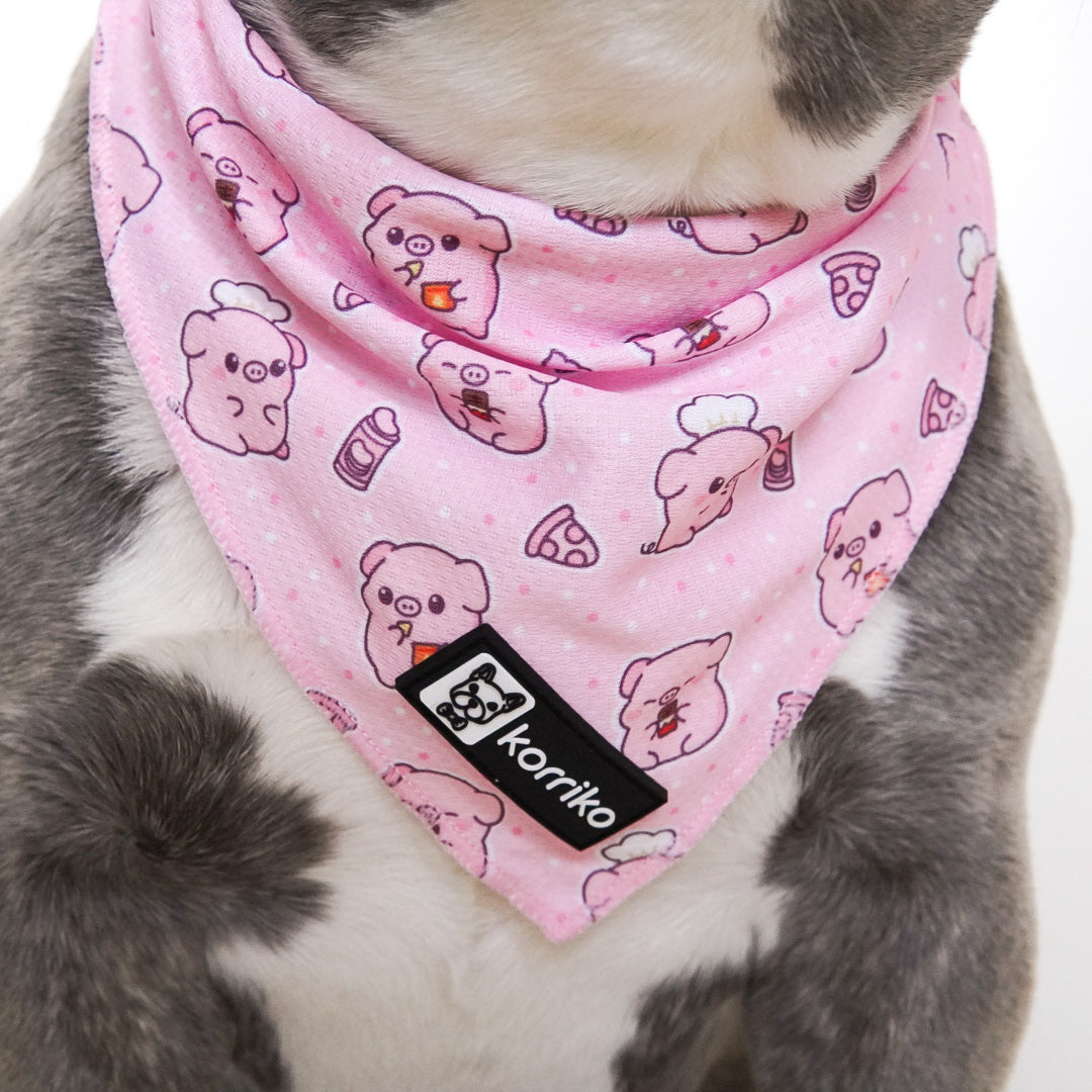 Cooling Dog Bandana - Piggin' Out