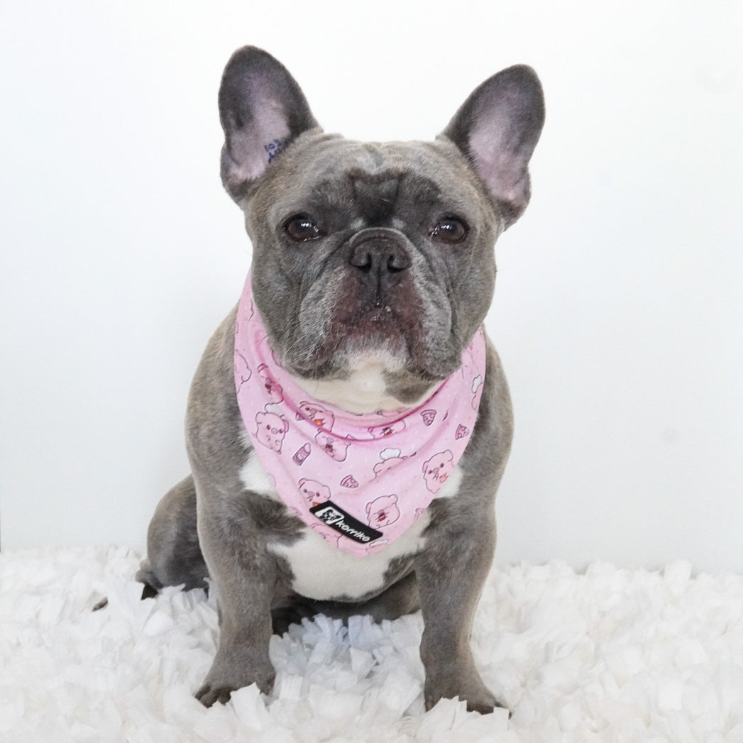 Cooling Dog Bandana - Piggin' Out