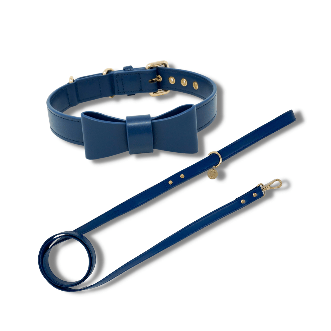 Signature Collar &amp; Leash Set - Navy (Final Sale)