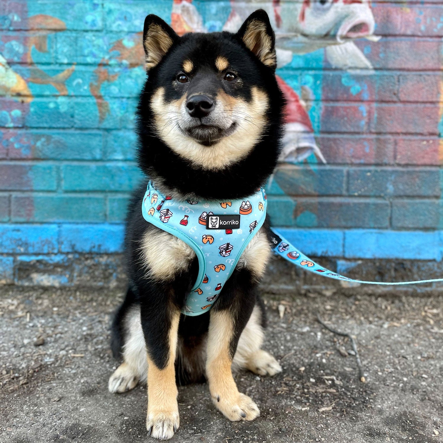 Adjustable Dog Harness - Adorabao