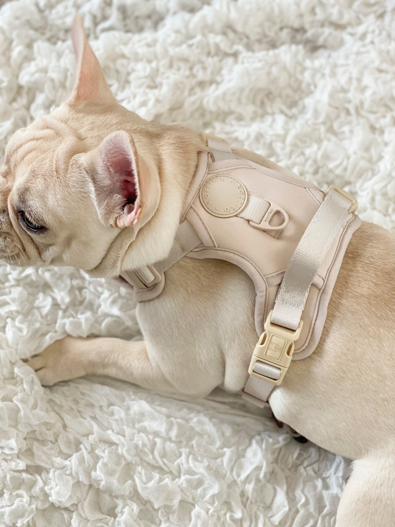 Exploration Lite No-Pull Dog Harness - Almond Nude