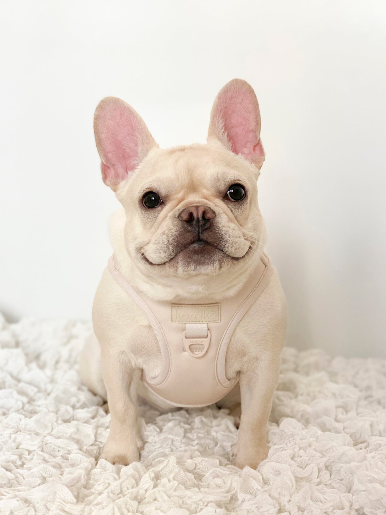 Step-In Dog Harness - Almond Nude