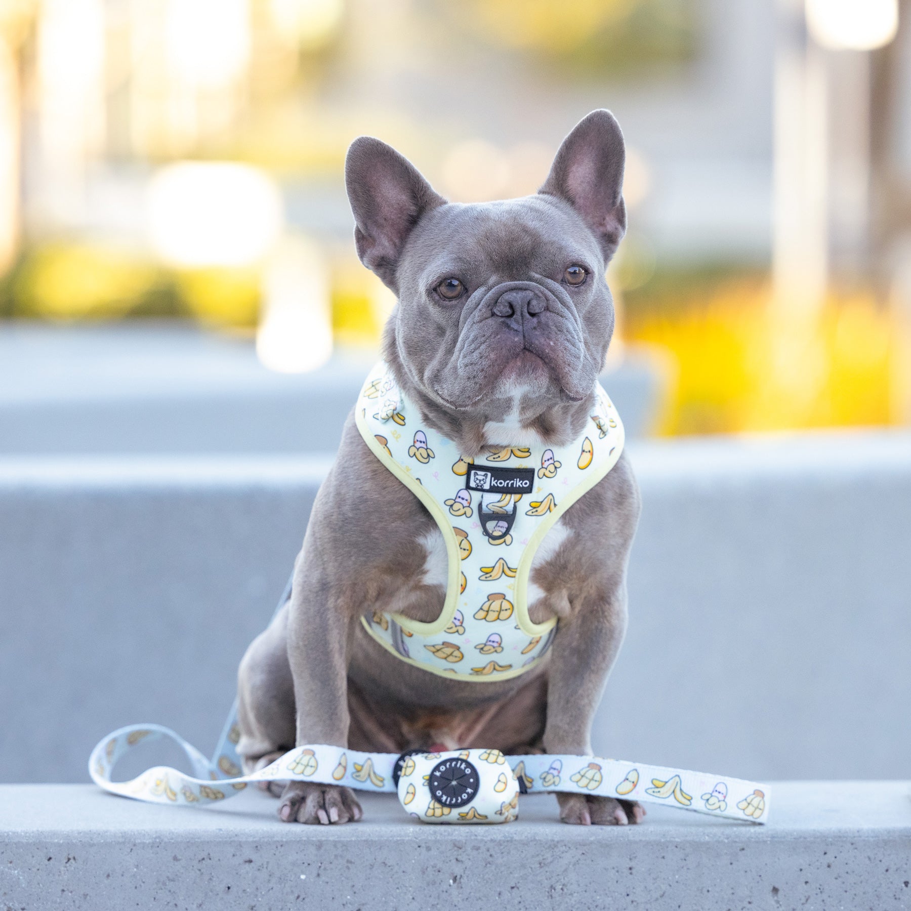 Adjustable Dog Harness - Go Bananas