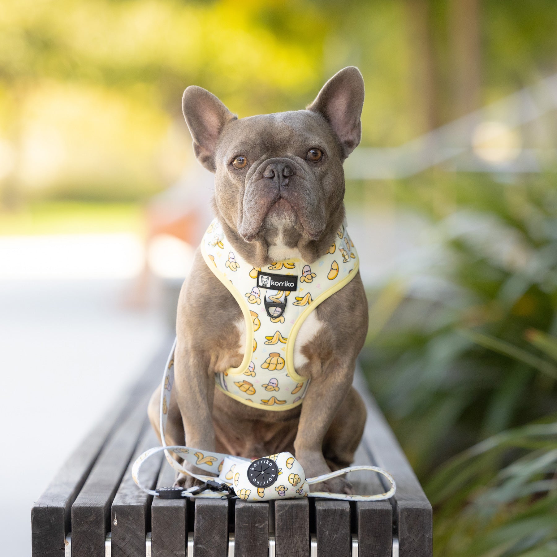 Adjustable Dog Harness - Go Bananas