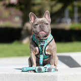 Adjustable Dog Harness - Safari (Final Sale)