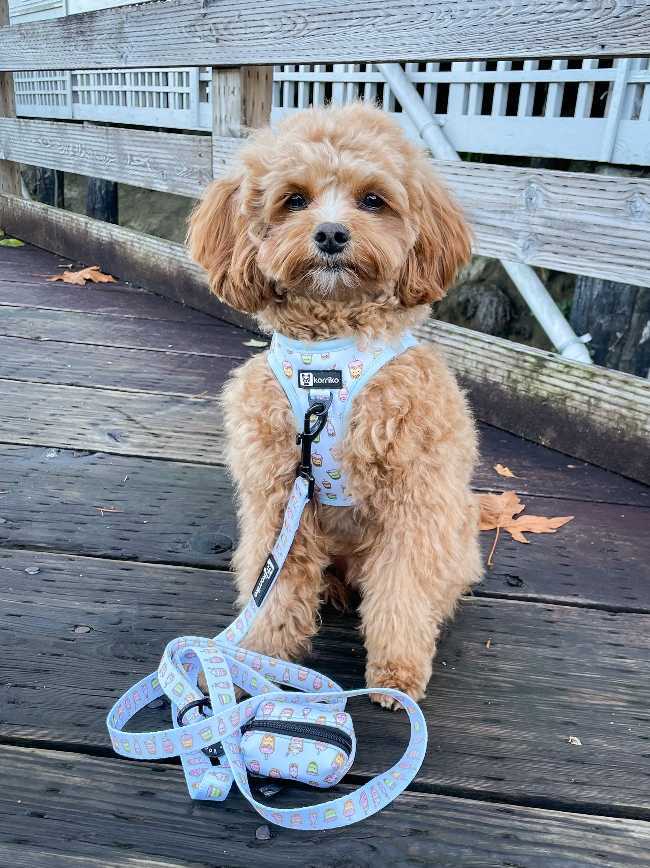 Essential Step-In Harness Walk Set - Boba (3-Piece)
