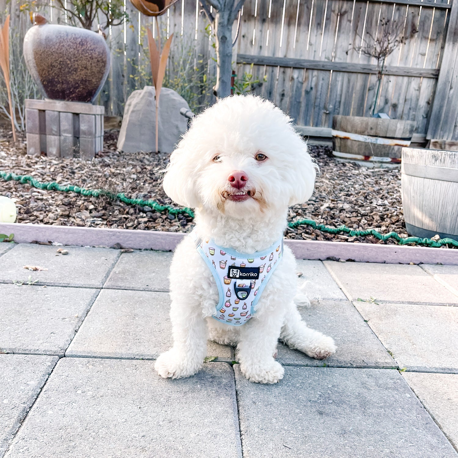 Essential Step-In Harness Walk Set - Boba (3-Piece)