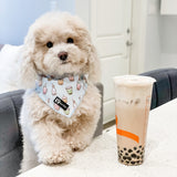 Ultimate Step-In Harness Bundle Set - Boba (4-Piece)