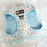 Essential Step-In Harness Walk Set - Boba (3-Piece)