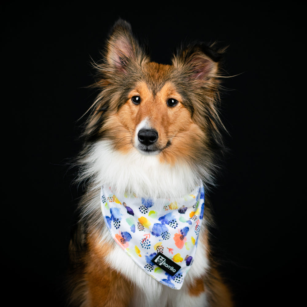 Cooling Dog Bandana - Spring Showers (Final Sale)