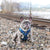 Adjustable Dog Harness - Dino (Blue Paw Co. - FINAL SALE)