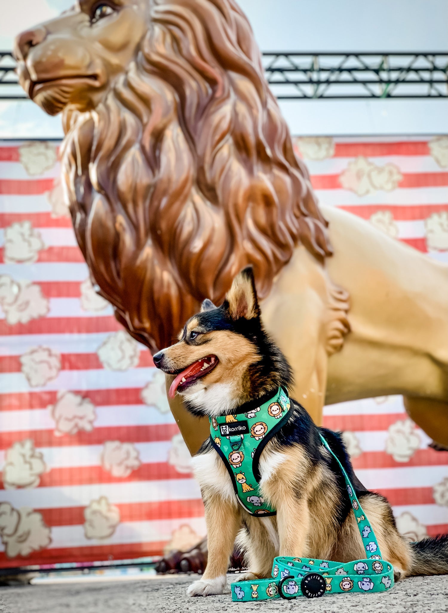 Adjustable Dog Harness - Safari (Final Sale)