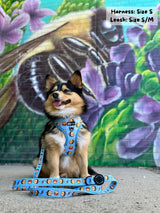 Adjustable Dog Harness - Honeybee (SECONDS - FINAL SALE)