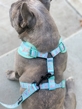 Essential Adjustable Harness Walk Set - Dream Team (3-Piece) (Final Sale)