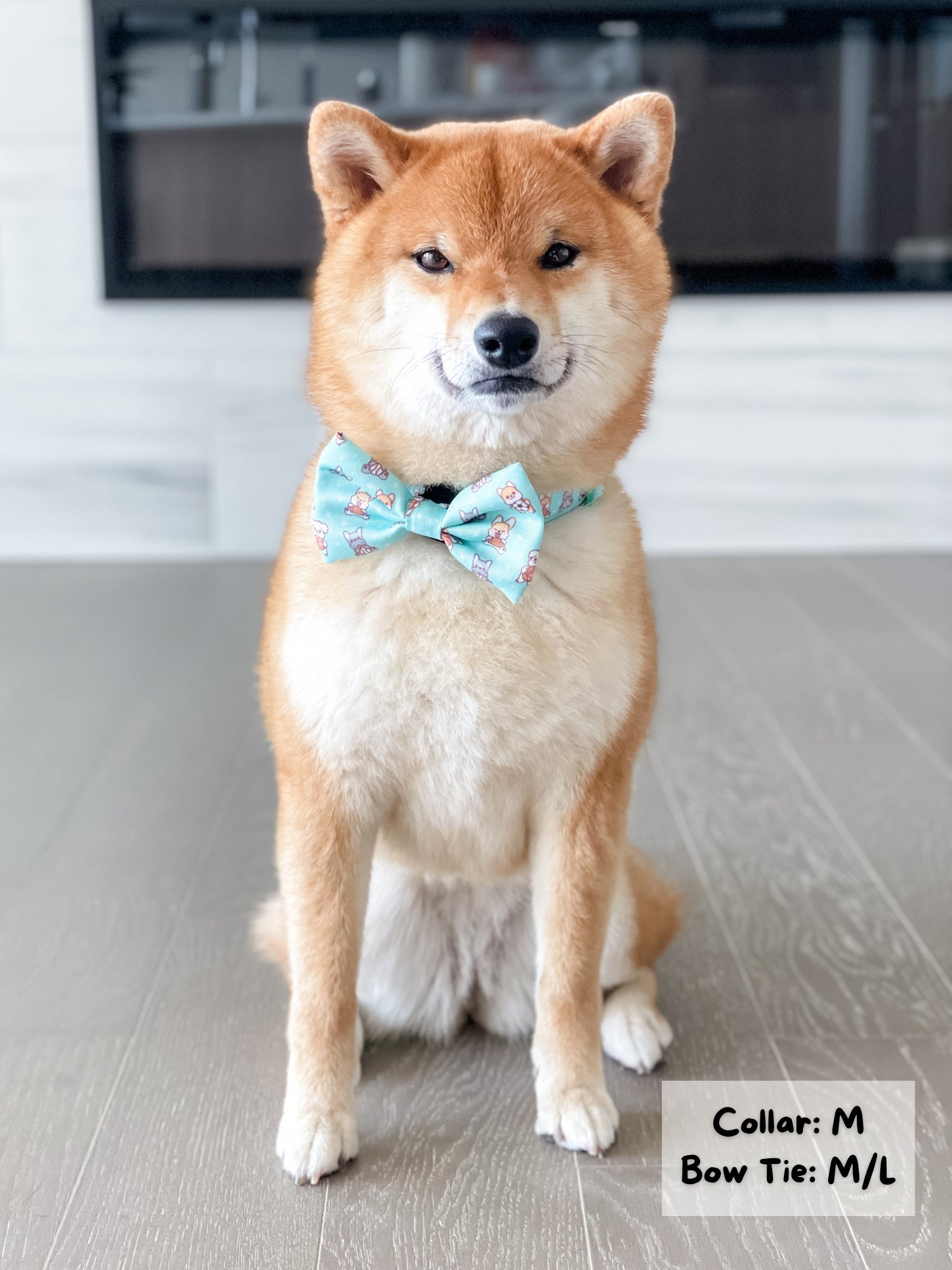 Dog Bow Tie - Dream Team (Final Sale)