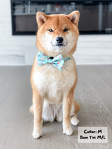 Dog Bow Tie - Dream Team (Final Sale)