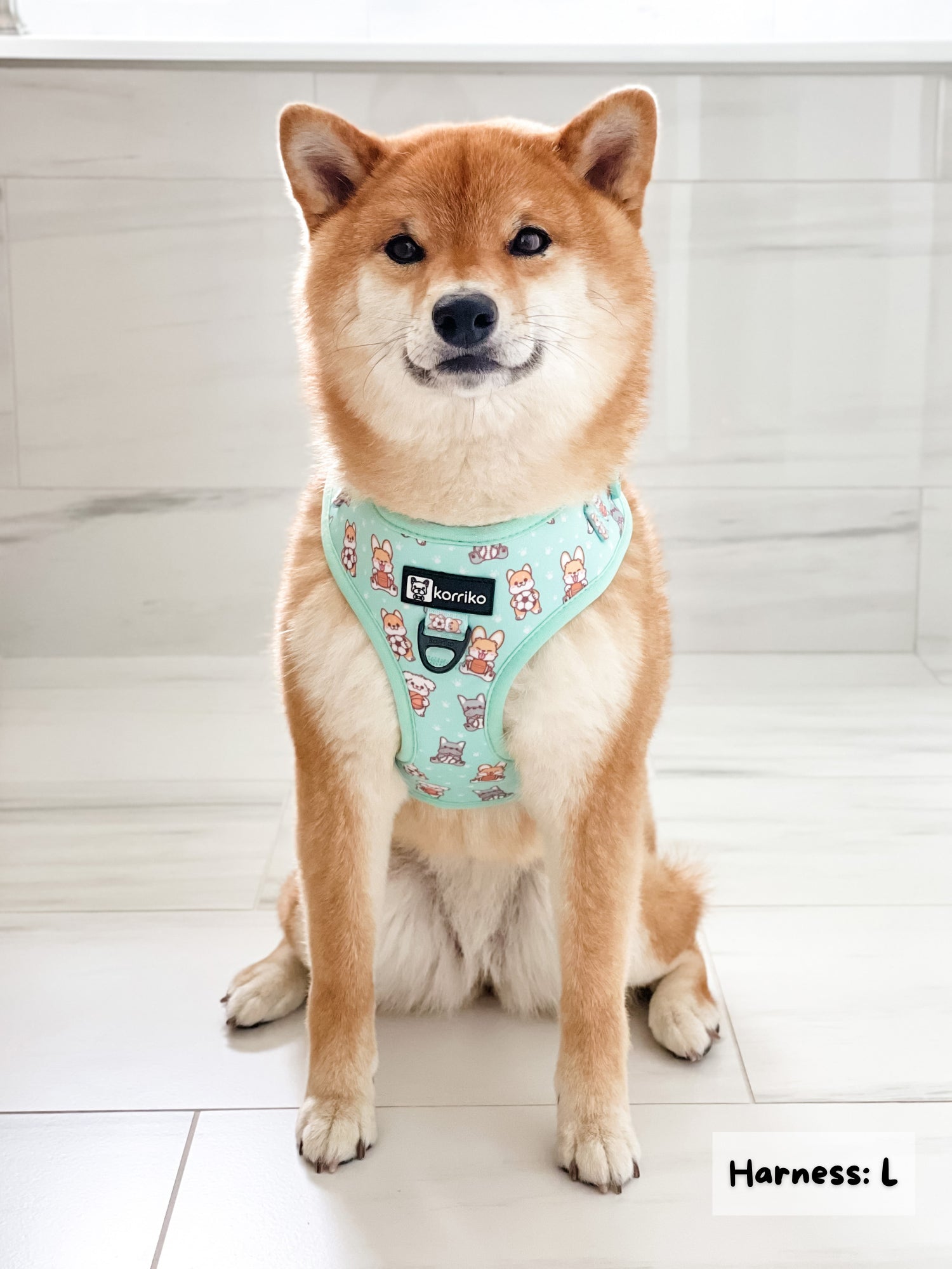 Essential Adjustable Harness Walk Set - Dream Team (3-Piece) (Final Sale)