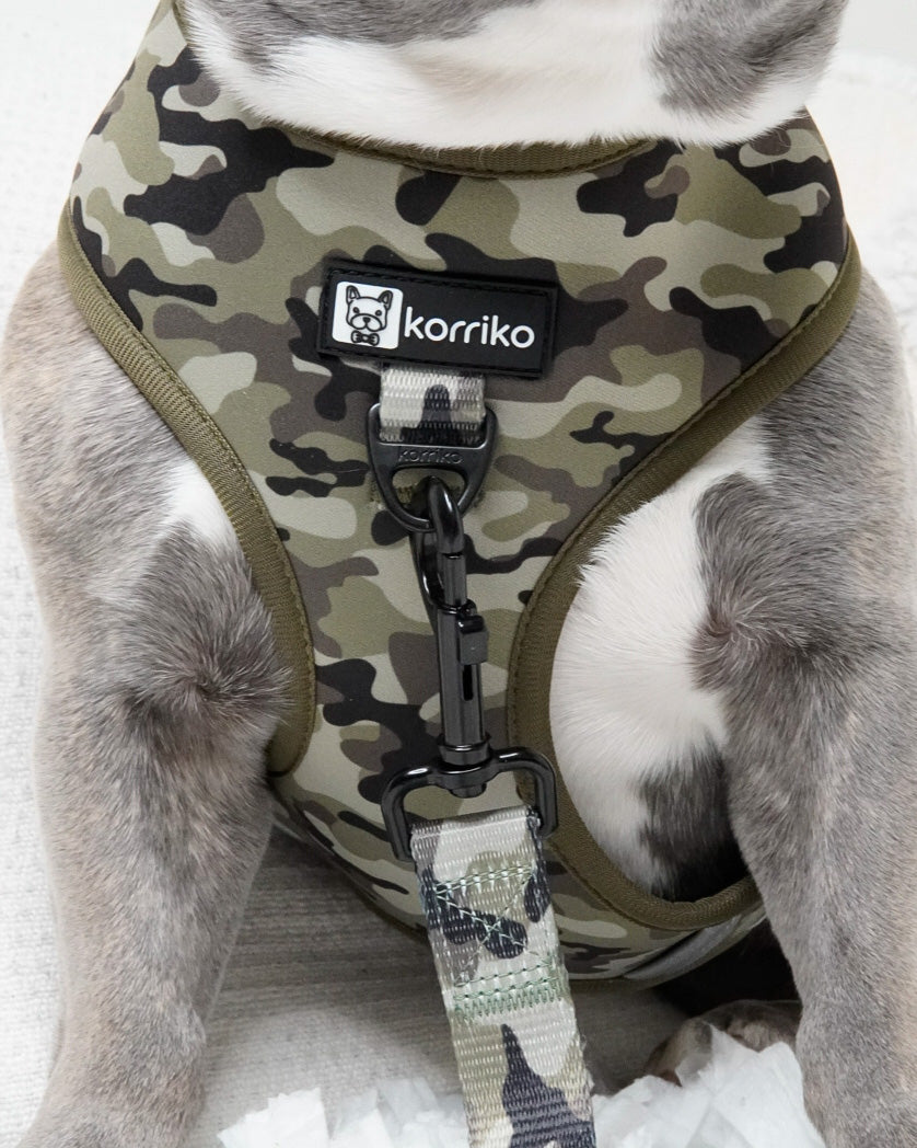 Essential Classic No-Pull Harness Walk Set - Green Camo (3-Piece) (Final Sale)