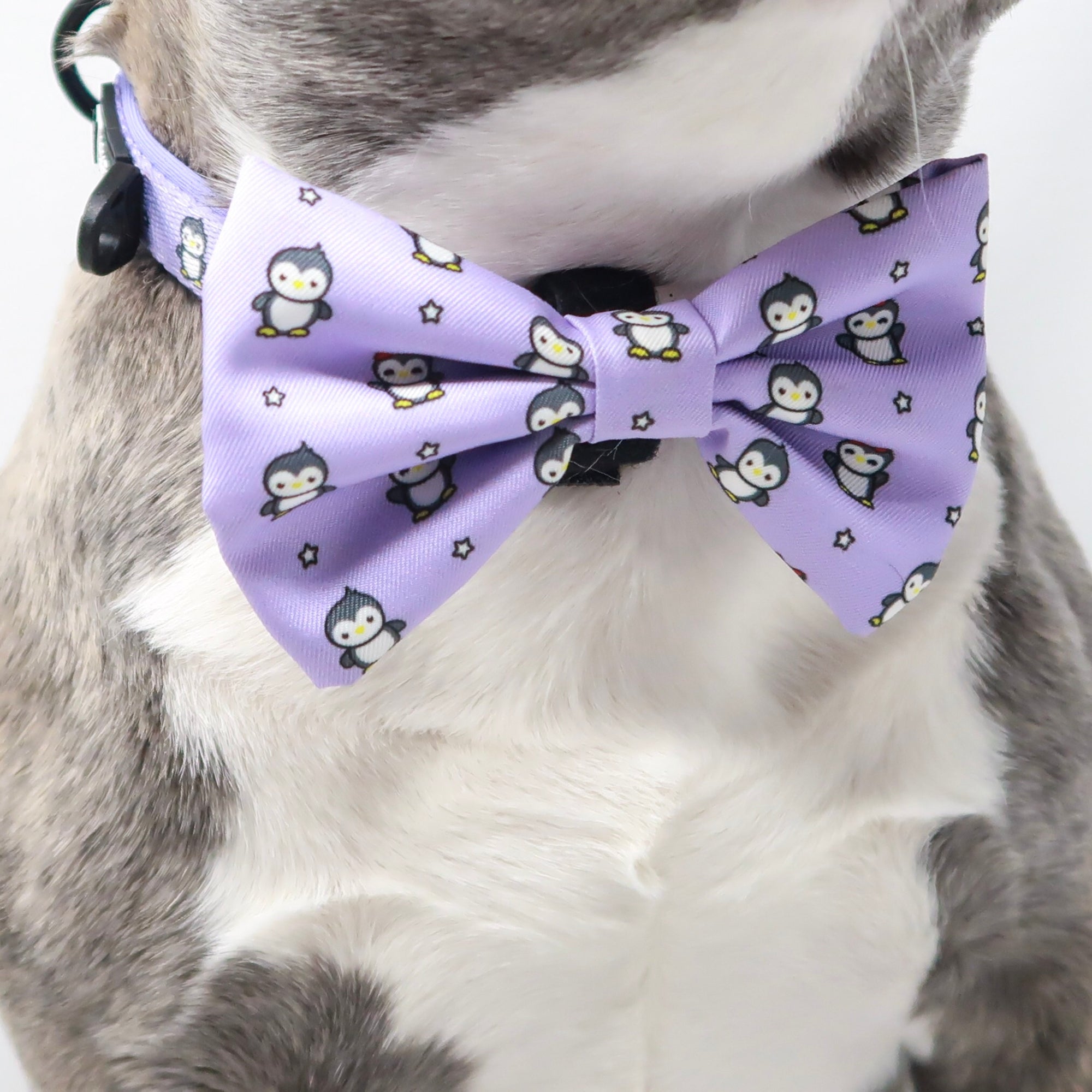 Dog Bow Tie - Frosty Feet (Blue Paw Co. - FINAL SALE)