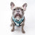 Classic Dog Harness - Posh Palms (Blue Paw Co. - FINAL SALE)
