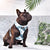 Classic Dog Harness - Posh Palms (Blue Paw Co. - FINAL SALE)
