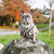 Adjustable Dog Harness - Leopard (Blue Paw Co. - FINAL SALE)