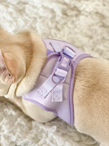 Essential Step-In Harness Walk Set - Lilac (3-Piece) (Final Sale)