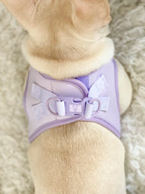 Essential Step-In Harness Walk Set - Lilac (3-Piece) (Final Sale)