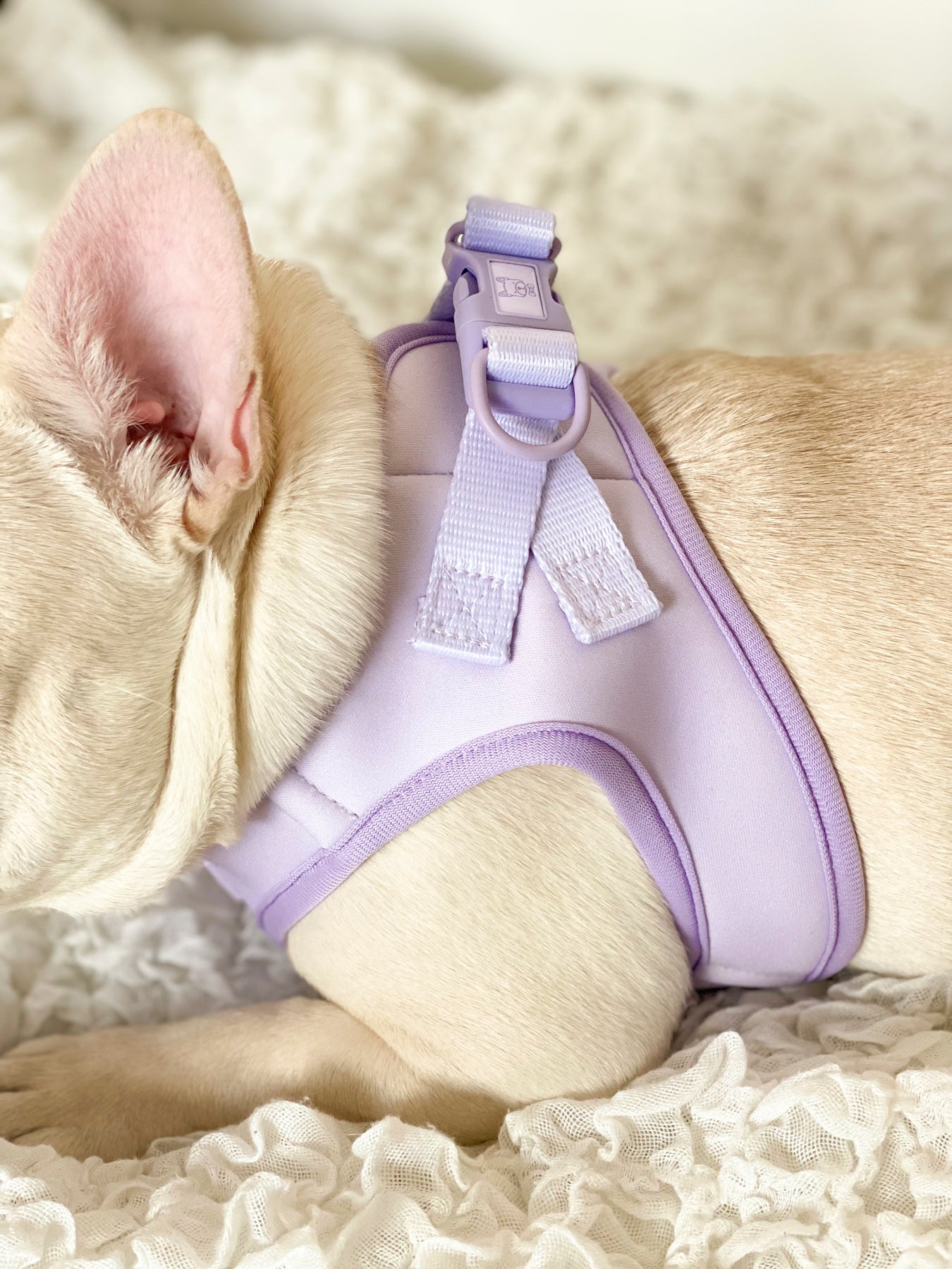 Step-In Dog Harness - Lilac