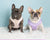 Step-In Dog Harness - Lilac