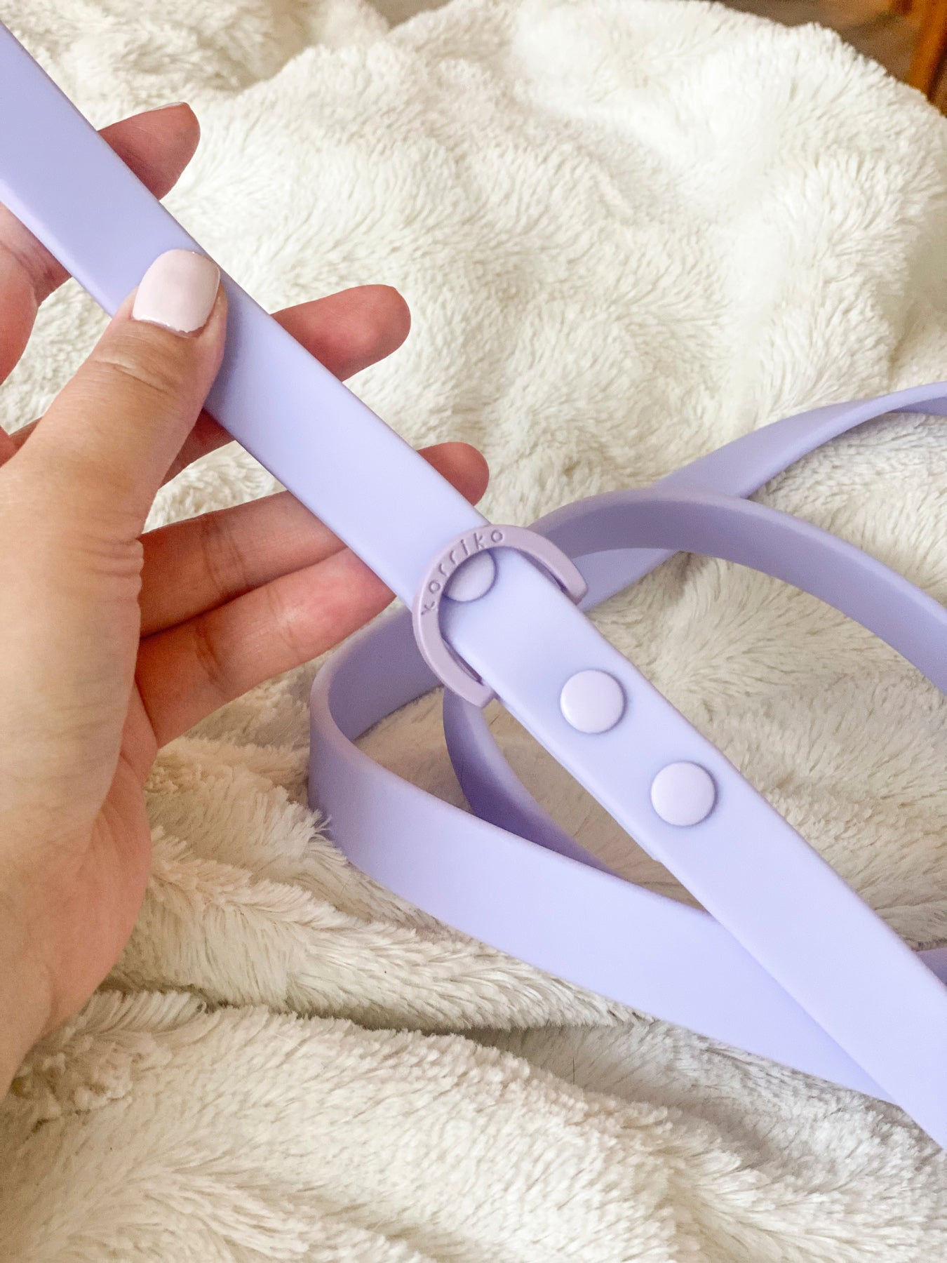 Essential Exploration No-Pull Harness Walk Set - Lilac (3-Piece) (Final Sale)