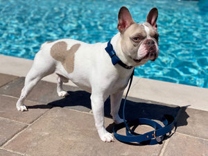 Signature Collar & Leash Set - Navy (*PROMO*)