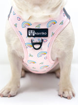 Ultimate Harness Bundle Set - Over The Rainbow (Step-In)
