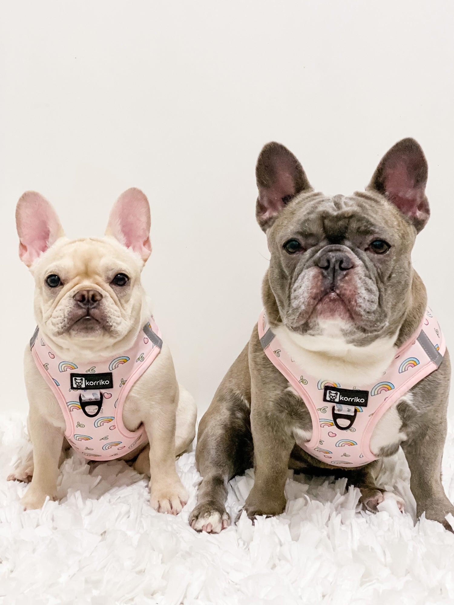 Ultimate Harness Bundle Set - Over The Rainbow (Step-In)