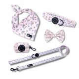 Ultimate Collar Bundle Set - Over The Rainbow