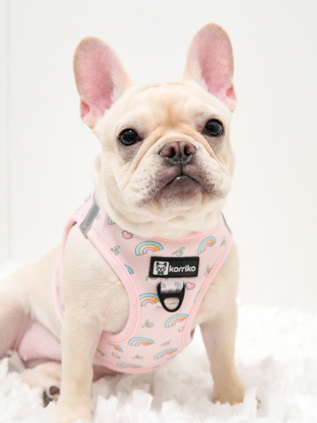 Essential Step-In Harness Walk Set - Over The Rainbow (3-Piece)
