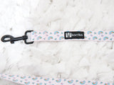 Ultimate Collar Bundle Set - Over The Rainbow