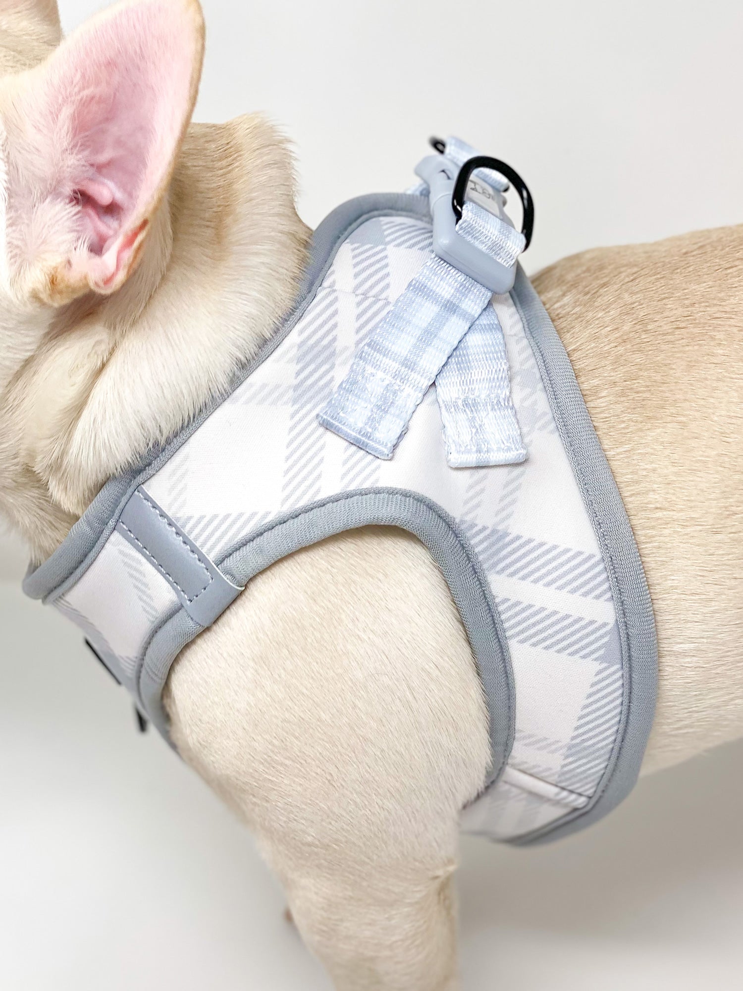 Essential Step-In Harness Walk Set - Park City Plaid (3-Piece) (Final Sale)