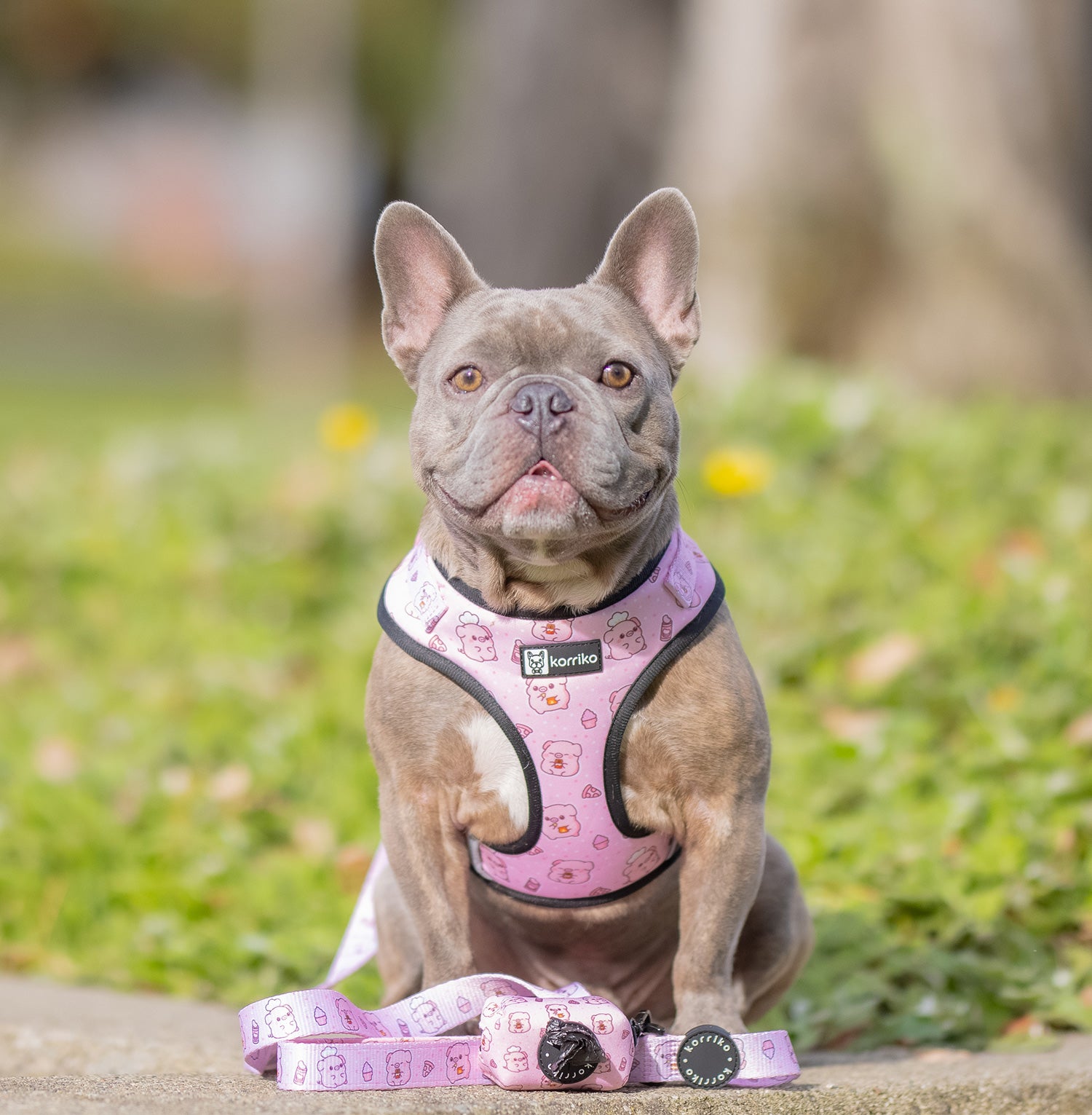 Adjustable Dog Harness - Piggin' Out