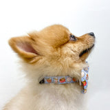 Dog Collar - Ramen (Final Sale)