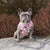 Adjustable Dog Harness - Rosa (Blue Paw Co. - FINAL SALE)