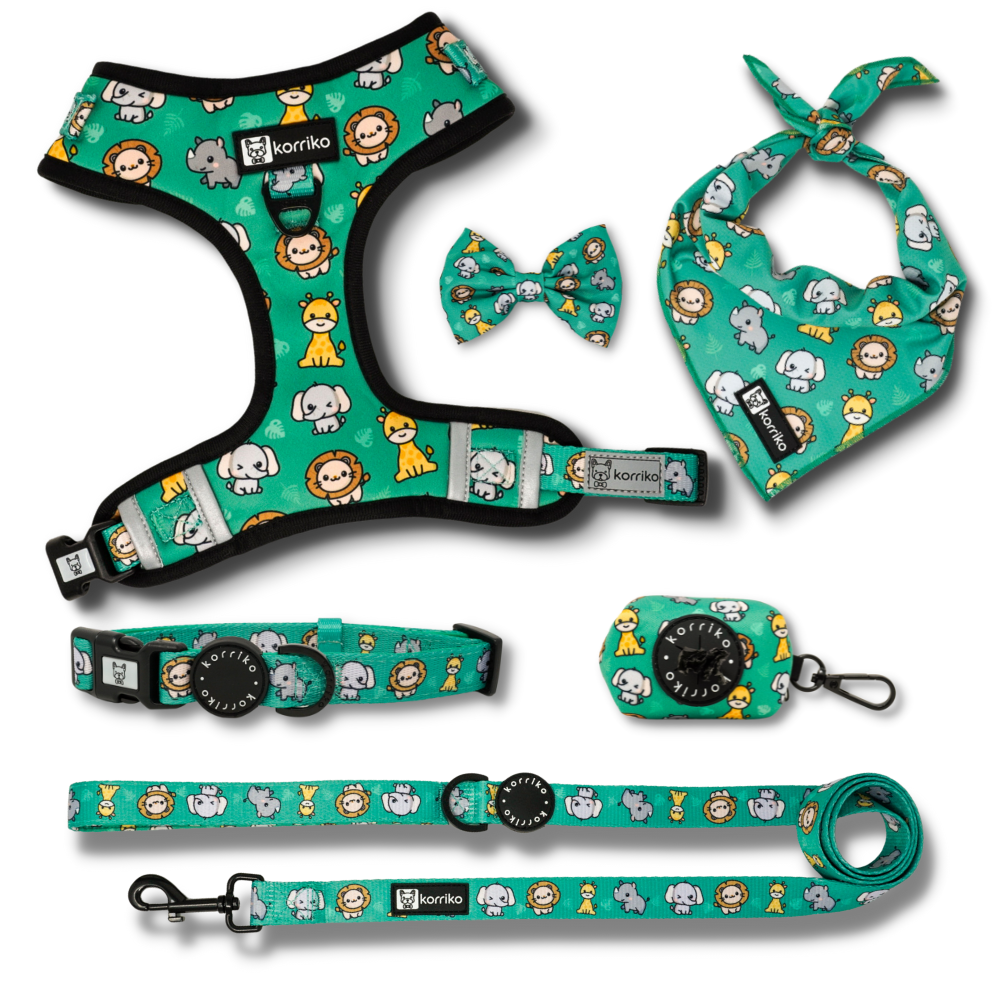 Harness Bundle Set - Safari