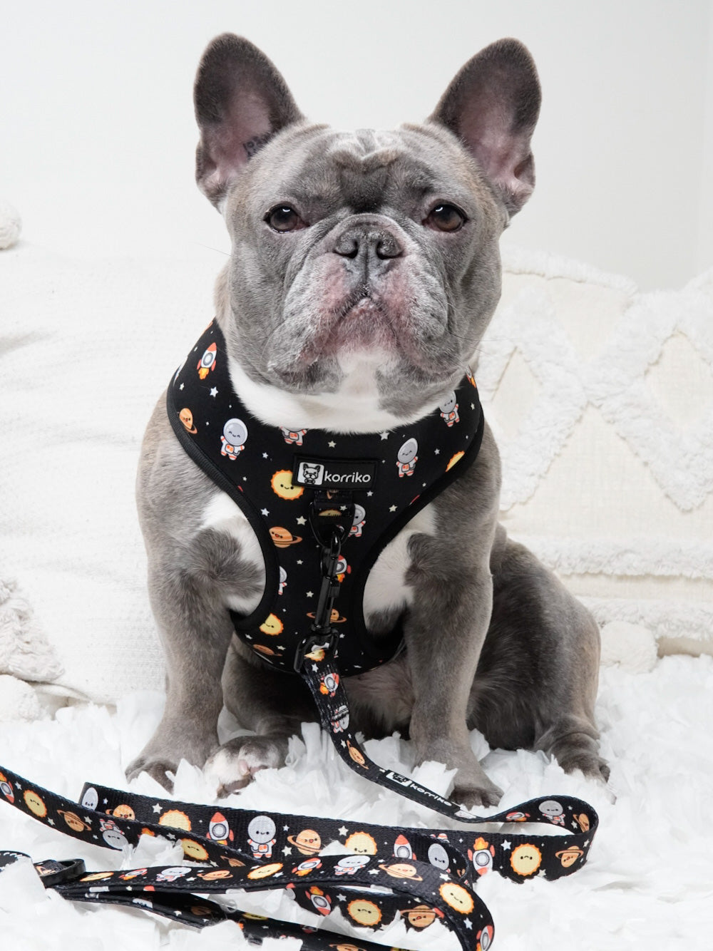 Classic No-Pull Dog Harness - Space Cadet (Final Sale)
