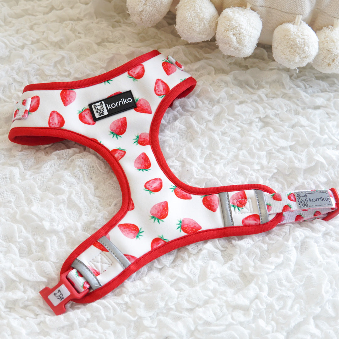 Adjustable Dog Harness - Strawberries & Cream