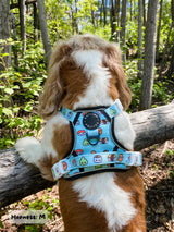 Essential Exploration No-Pull Harness Walk Set - Sushi (3-Piece)